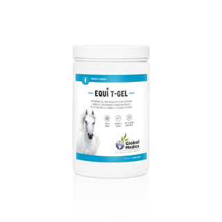 Global Medics Equi T-Gel