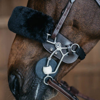 Dy'on Hackamore Protection