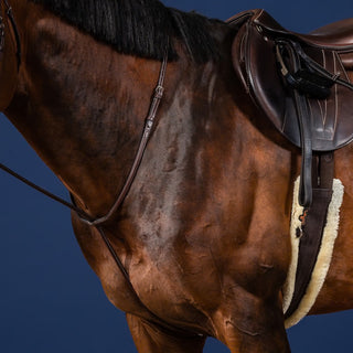 Dy'on Standing Martingale