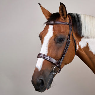 Dy'on Wide Noseband Hunter Bridle