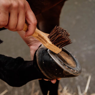 Grooming Deluxe Hoof Pick
