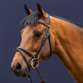Dy'on Flash Noseband Bridle-Working Collection