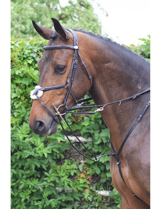 Jump'In Howlett Training Aid (German Martingale)