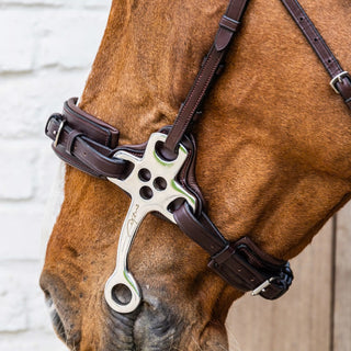 Dy'on Hackamore