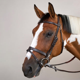 Dy'on Flat Leather Bridle w/ Snap Hooks-Working Collection