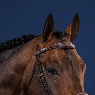 Dy'on Anatomic Browband