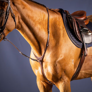 Dy'on Standing Martingale Attachment