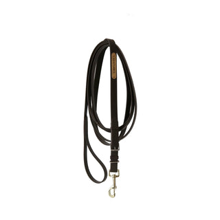 Kentucky Stallion Lead 4m