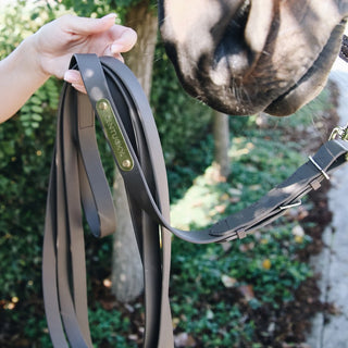 Kentucky Stallion Lead 4m