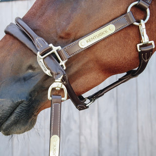 Kentucky Leather Covered Chain Lead Brown