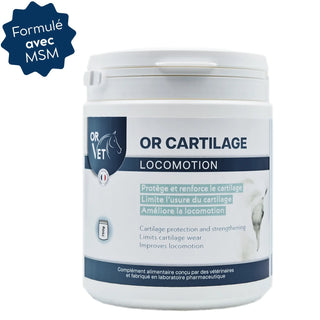OR-CARTILAGE