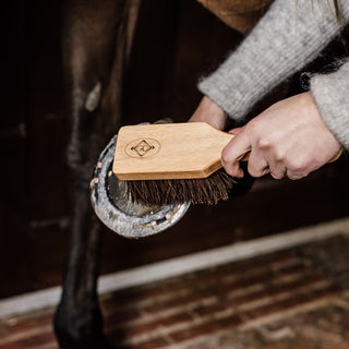 Kentucky Hoof Brush