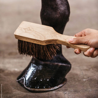 Kentucky Hoof Brush