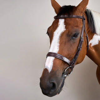 Cavesson Hunter Noseband Bridle