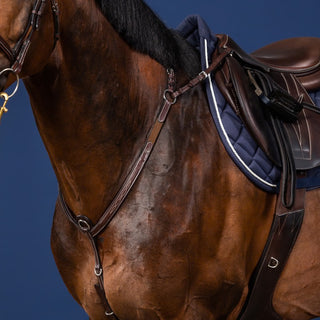 Dy'on Bridge Breastplate