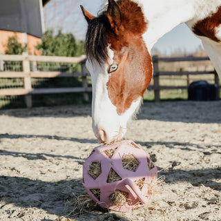 Kentucky Relax Horse Play & Hay Ball