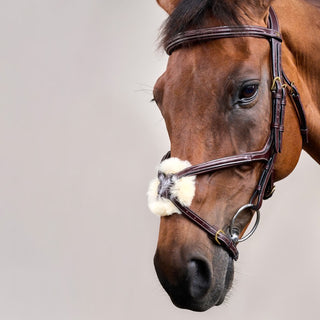 Dy'on Figure 8 Noseband Bridle