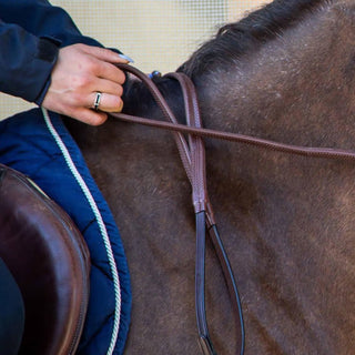Reins
