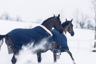 HORSE APPAREL