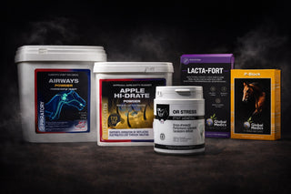 HORSE SUPPLEMENTS