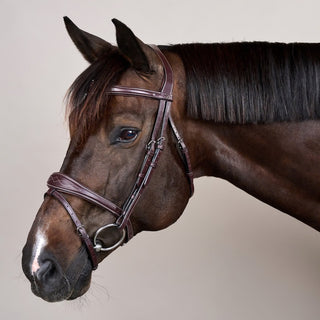 Bridles