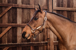 Halters