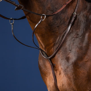 Dy'on Running Martingale